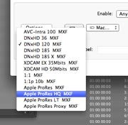 Avc Intra 100 Codec Download Mac